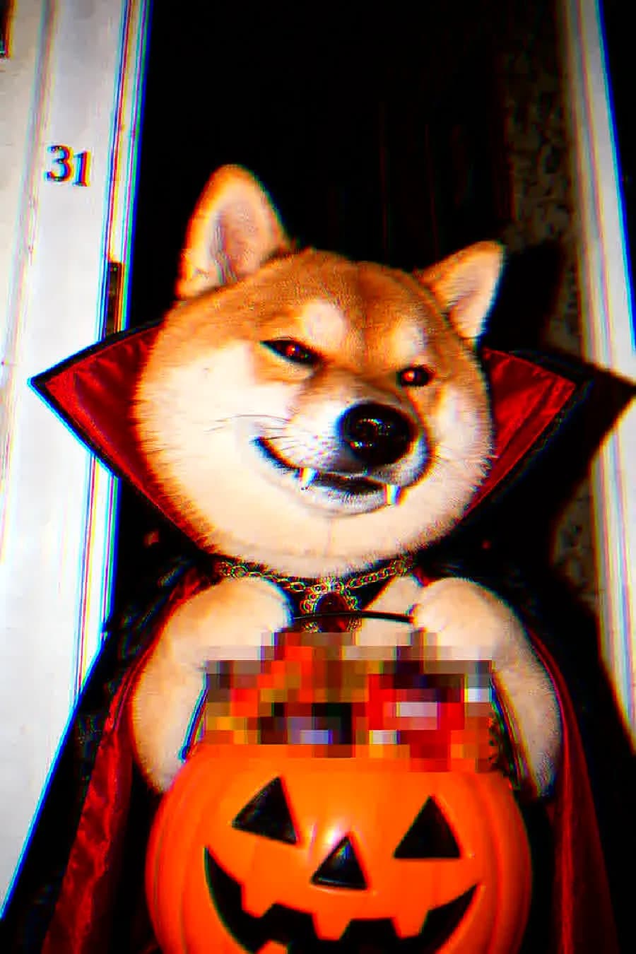 HallowInu holding a jack-o'-lantern bucket full of Halloween candy.